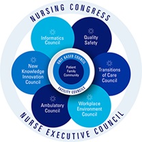 Nursing Philosophy